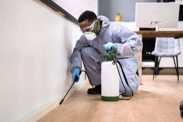 Best Fumigation Services  in Akron, IA